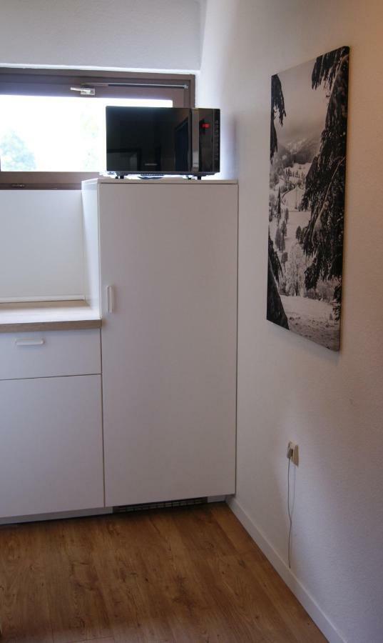 Ferienwohnung Schwarzwaldlust シュルッフゼー エクステリア 写真