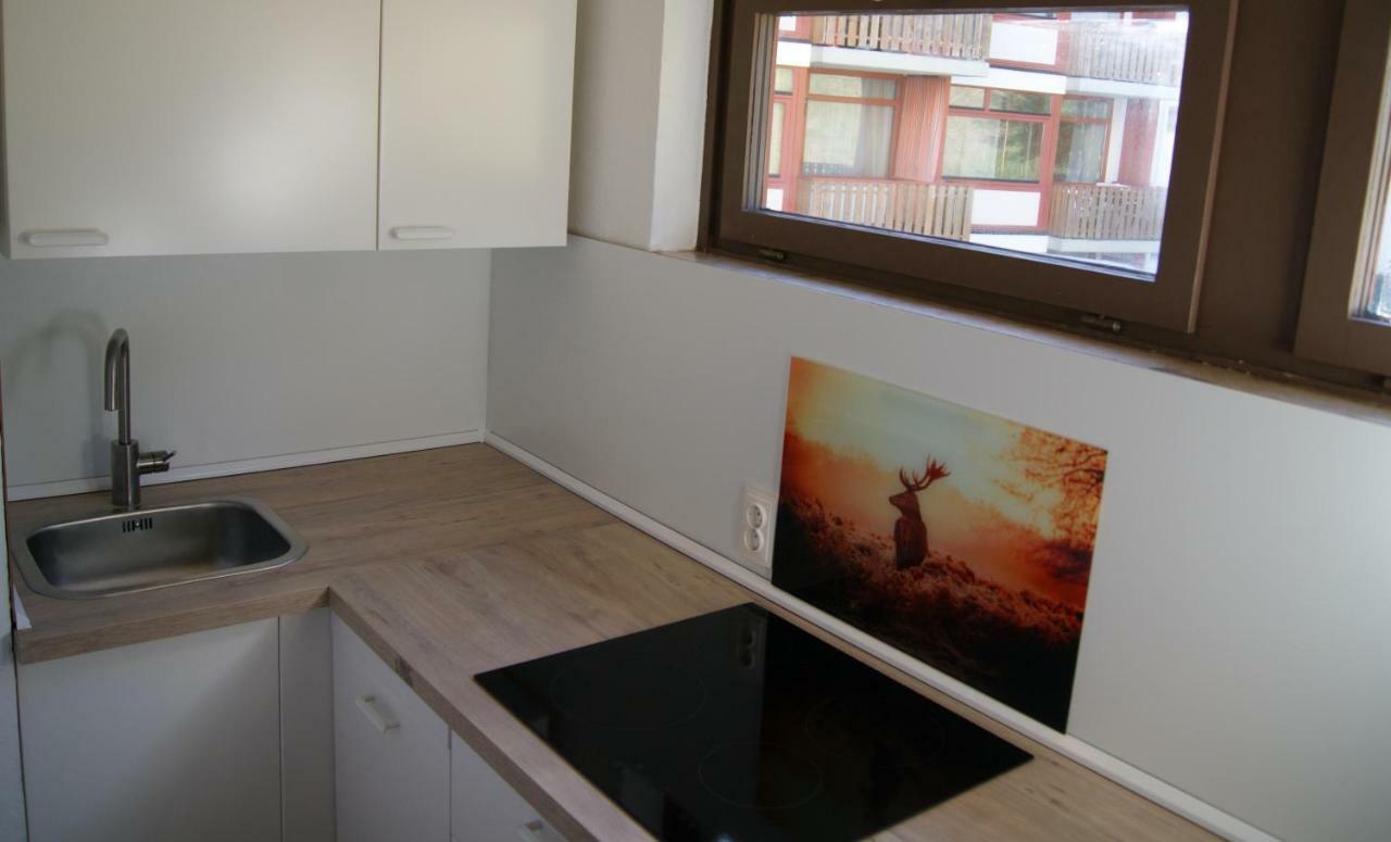 Ferienwohnung Schwarzwaldlust シュルッフゼー エクステリア 写真